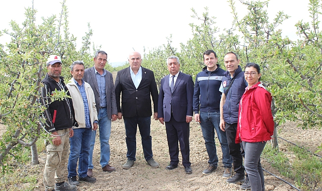 Karaman'da Biyoteknolojik Mücadele Artıyor