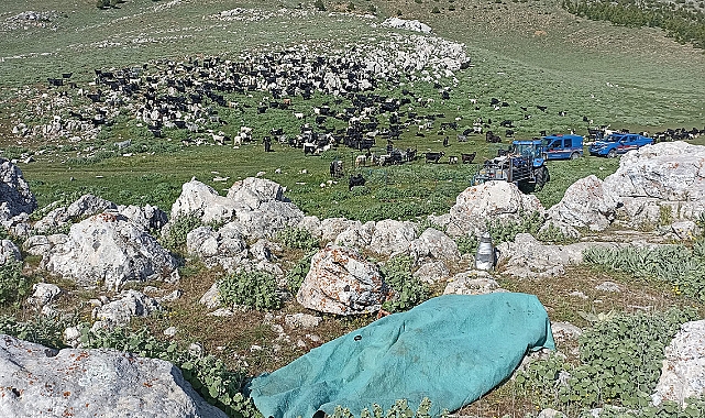 Karaman'da Cinayet! Kayınbiraderini Bıçaklayarak Öldürdü