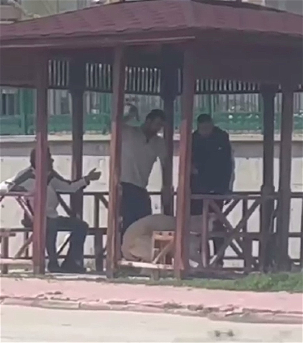 Köpeğe eziyet ettiği iddia edilen zanlı yakalandı