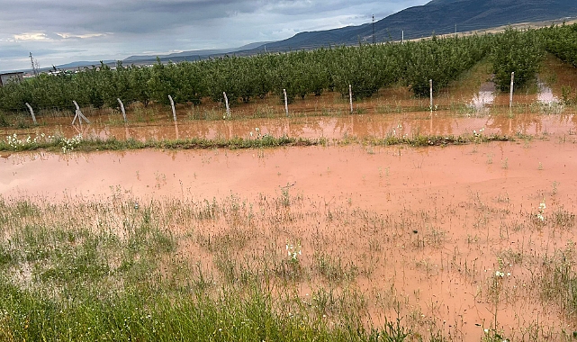 Şiddetli, Yağış Yollarbaşı Köyünde Kısmi Su Baskınlarına Sebep Oldu