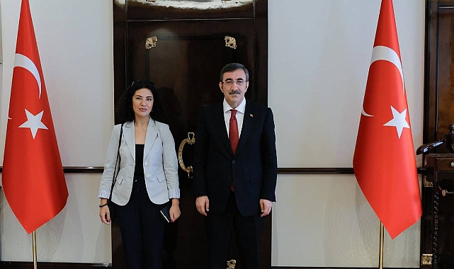 Cumhurbaşkanı Yardımcısı Cevdet Yılmaz'a KGK brifingi