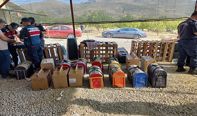 Horoz dövüştüren 71 kişi gözaltına alındı