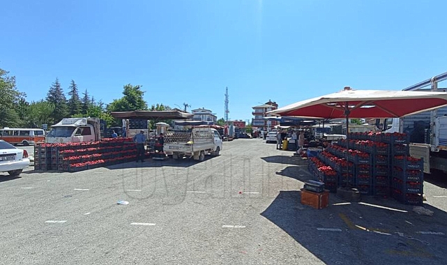 Karaman'da Salçalık Pazarı Kuruldu İşte Fiyatlar!