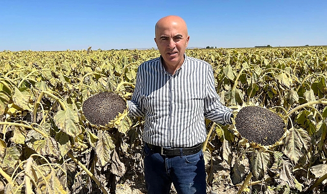 Bayram: "Çiftçinin ne ekip, ekmeyeceğine bakanlık karar verecekse alım garantisi de vermelidir"