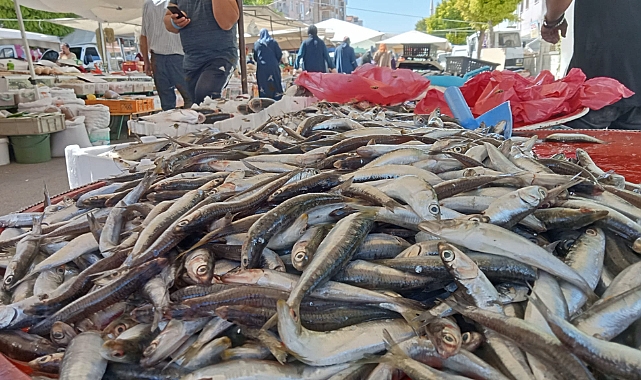 Karaman'da Hamsi Tezgâhlarda 50 Liradan Alıcı Buluyor