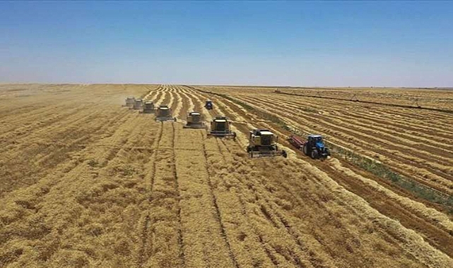 Çiftçilere 170,5 milyon liralık tarımsal destekleme ödemesi bugün yapılacak