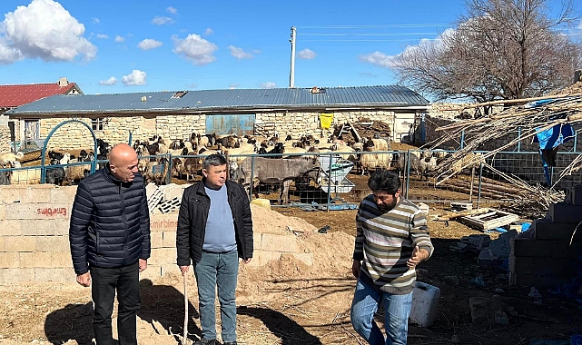 Ahırın çatısı çöktü. 20 koyun telef oldu