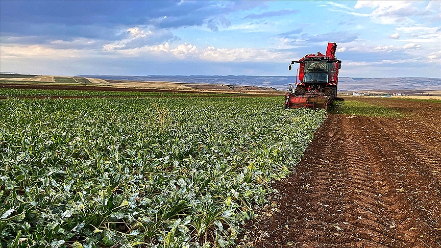 ÇKS ürün güncelleme başvuruları başladı