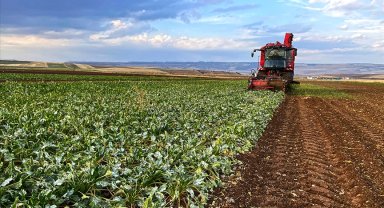 ÇKS ürün güncelleme başvuruları başladı