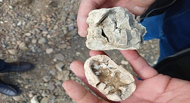 "dinozor fosili" sanılan kalıntılar traverten çıktı