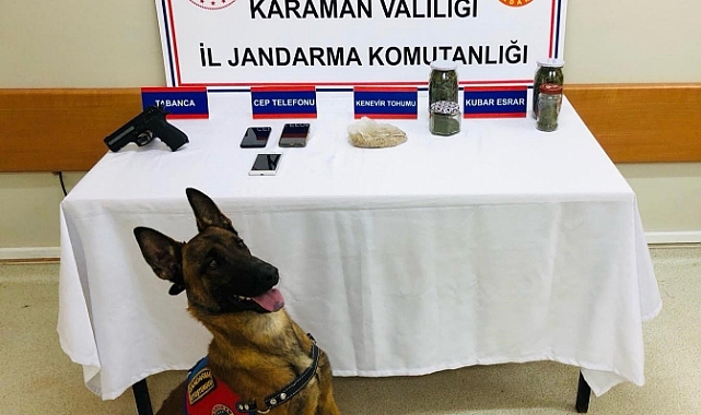Narkotik Köpeği Erek, Esrar ve Keneviri Koklayarak Buldu