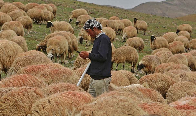 Bayram: Afgan uyruklu tarım işçilerinin işverenlerden talep ettiği keyfi maaş masrafı kabul edilemez