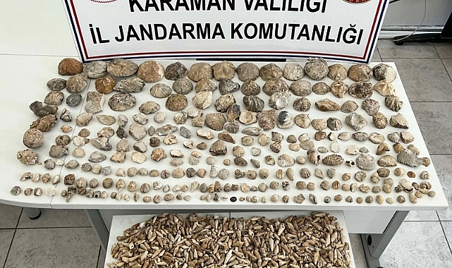 Jandarmadan Fosil Kaçakçılığı Operasyonu