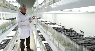 Ömrünü tohumculuğa adayan girişimci 23 çeşit yerli patates tohumunu tarıma kazandırdı
