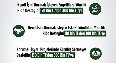 Engellilere ve Eski Hükümlülere Yönelik Hibe Desteği