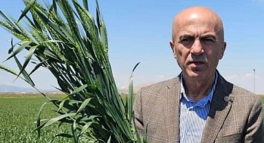 Bayram: Buğdaya Verilecek Fiyat ve Destek Primi Gelecek Yılların Üretimini Yönlendirecek