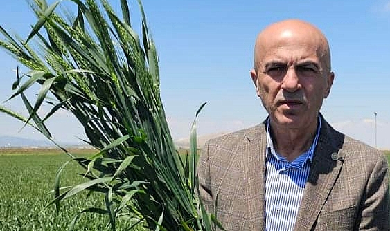 Açıklanan Buğday ve Arpa Fiyatları Üreticiyi tatmin etmedi