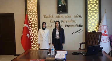 Bulut, Başyayla ve Sarıveliler'de İncelemelerde bulundu