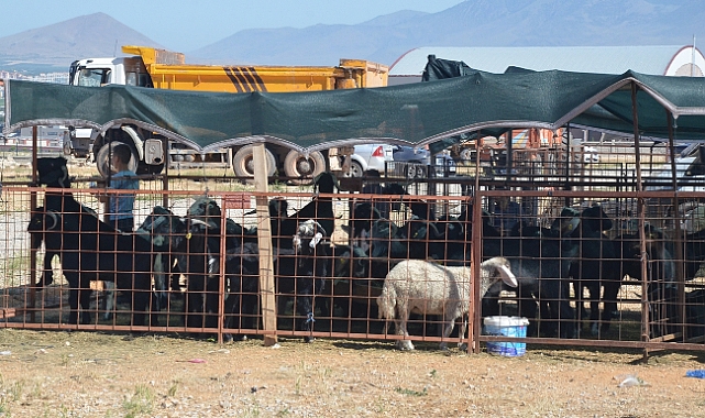 Karaman'da Kurban Satış ve Kesim Yerleri Belli Oldu