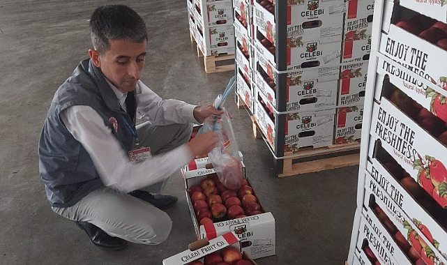 Karaman Elması Dünya Pazarında