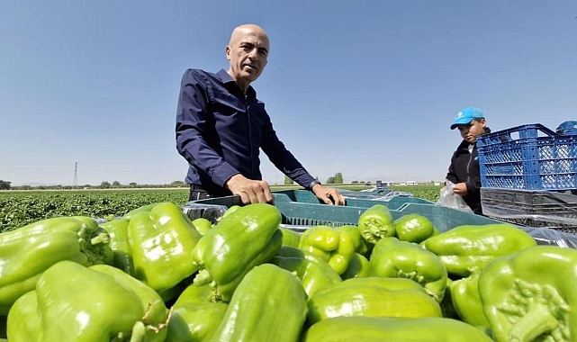 Bayram: Tarım ürünlerinin çeşitliliğinin artması demek, istihdam ve ekonomiye katkı demek