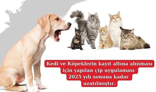 Mikroçip süresi uzatıldı
