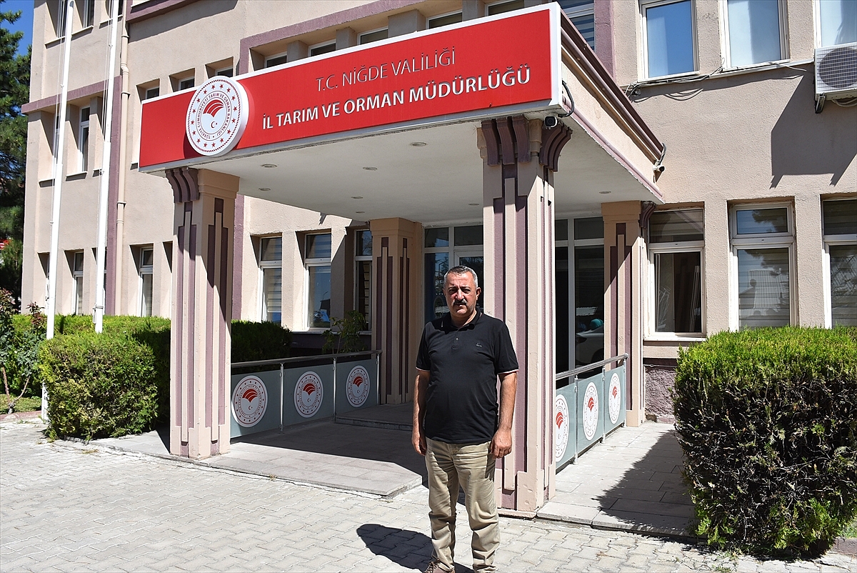 Patateste 1 milyon 45 bin ton rekolte bekleniyor