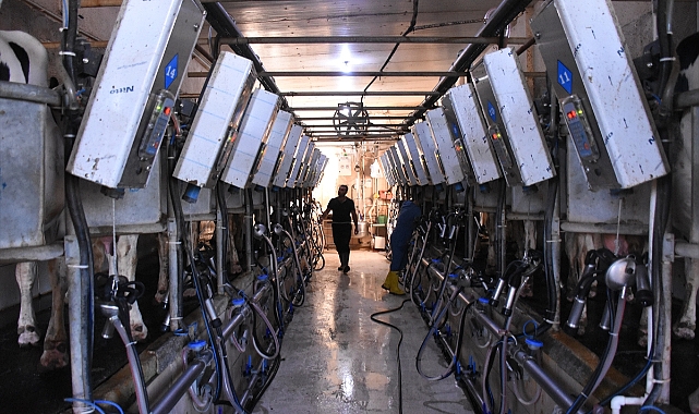 Güçlerini birleştiren çiftçiler, devlet desteğiyle kurdukları çiftlikte üretimlerini artırdı