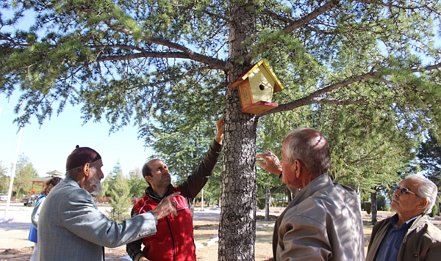 Kuş Evleri Huzurevi Sakinleriyle Birlikte Ağaçlara Yerleştirildi