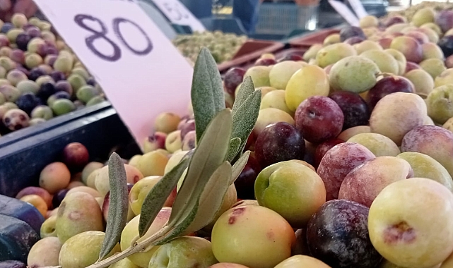Sofraların Vazgeçilmez Yeşil Zeytin Tezgaha Çıktı
