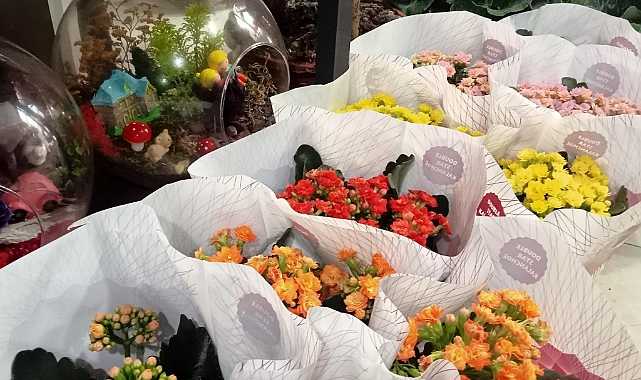 Çiçekçilerde Öğretmenler Günü Hareketliliği; Tek Gül: 100 TL
