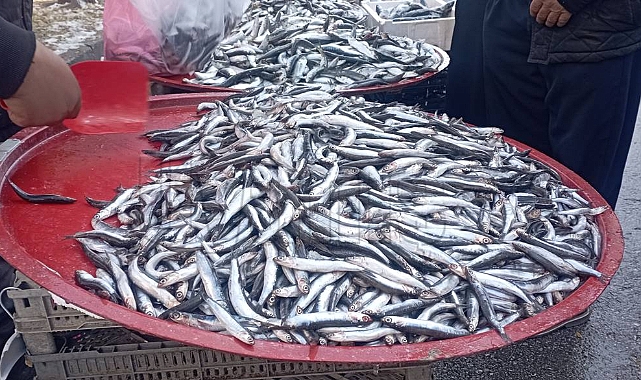 Havalar soğudu, balığa ilgi arttı! 