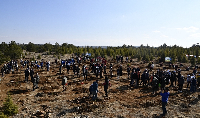 Karaman'da Milli Ağaçlandırma Günü Dolayısıyla Fidan Dikildi