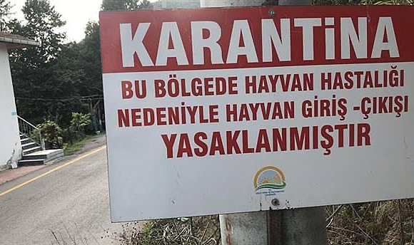 Karaman'da 7 köy karantinaya alındı