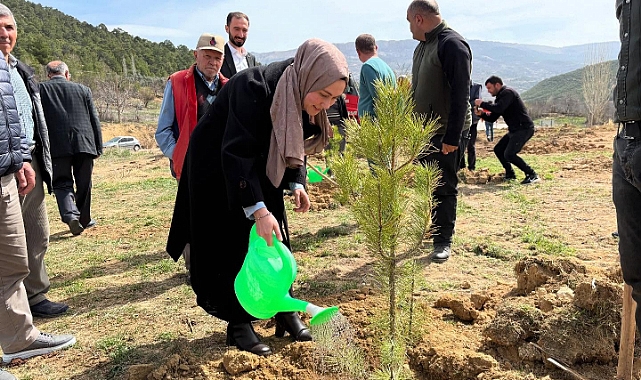 Başyayla ve Sarıveliler'de Fidanlar toprakla buluştu