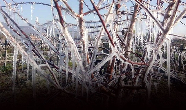 Meteorolojiden Karaman için zirai don uyarısı