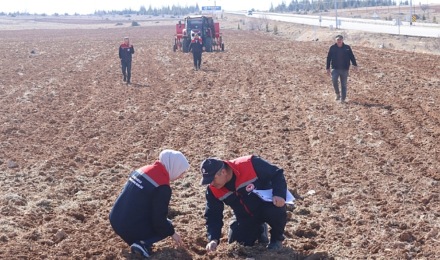 Yerli Nohut Çeşitleri Çiftçi İle Buluşuyor