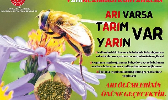 Bulut, arı ölümlerine karşı üreticileri uyardı