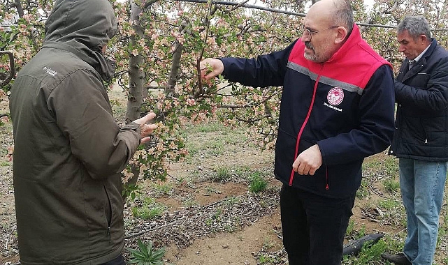 Donun vurduğu elma bahçelerinde zarar tespitine başlandı