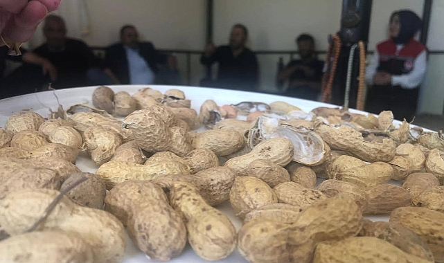 Göksu'da Fıstığın Lezzeti Projesi hayata geçiriliyor