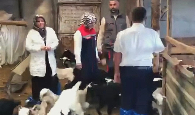 İl Müdürü Bulut Başyayla'da üreticileri ziyaret etti