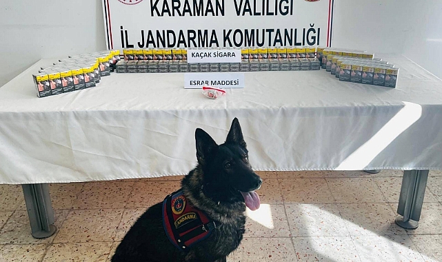 Jandarma 16 Bin 498 Şahsı Sorguladı. 7 Kişi Tutuklandı