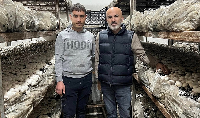 Karaman'ın en büyük mantar üretim tesisi kooperatifleşme yolunda ilerliyor