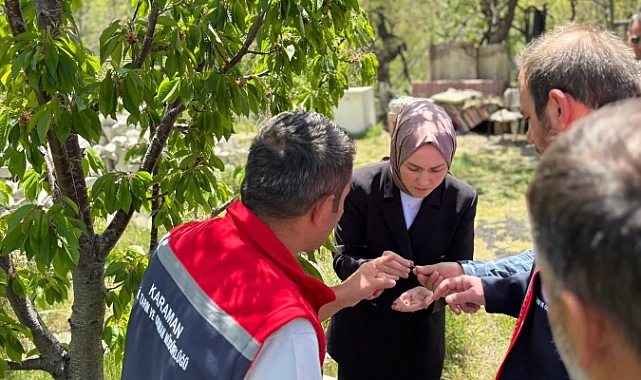 Kaymakam Çakır, Zirai Don Afetinden Etkilenen Vatandaşları Ziyaret etti