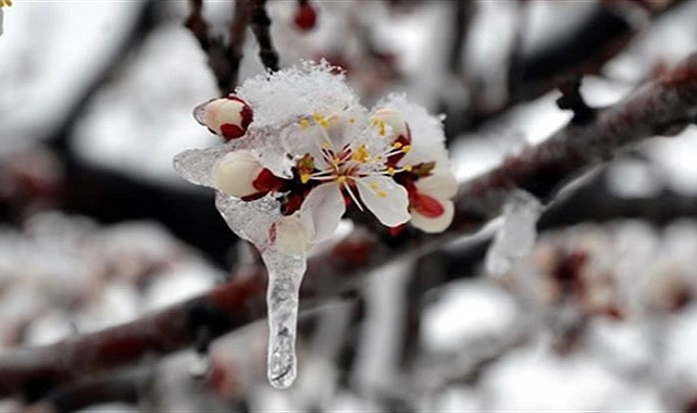 Meteorolojiden Karaman için zirai don uyarısı