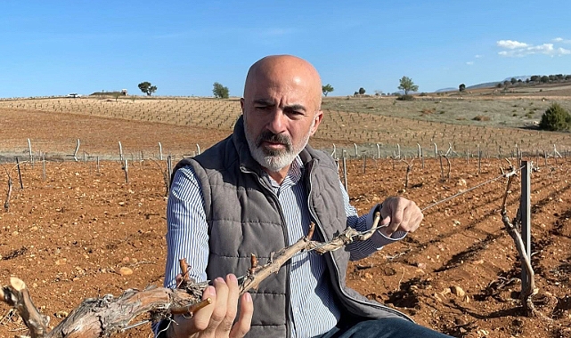 Üzüm Bağları da dondan nasibini aldı
