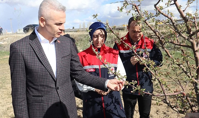 Vali Çiçekli, Don Afetinden zarar gören alanlarda üreticileri ziyaret etti