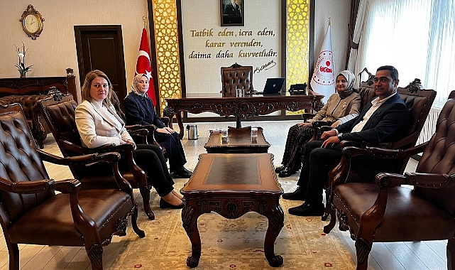 Vali Yardımcısı Çiçekli Başyayla ve Sarıveliler ilçelerindeydi
