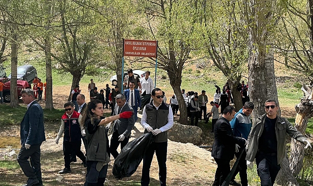 İlçelerde Ormanlar Temizlendi