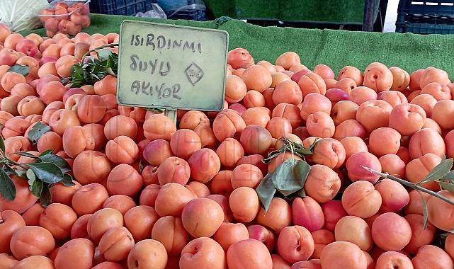 Karaman'da semt pazarında fiyatlar
